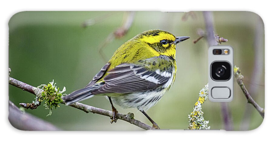Cold Galaxy Case featuring the photograph Warbler by Craig Leaper
