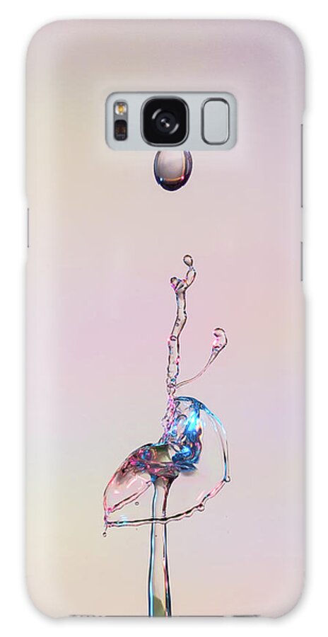 Water Galaxy Case featuring the photograph Ostrich by Sue Leonard