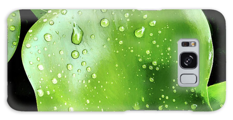 Water Lily Galaxy Case featuring the photograph Water Lilies After The Rain by Gary Slawsky
