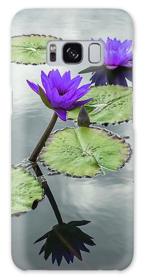 Lily Galaxy Case featuring the photograph Water Lilies in Portrait by Cate Franklyn