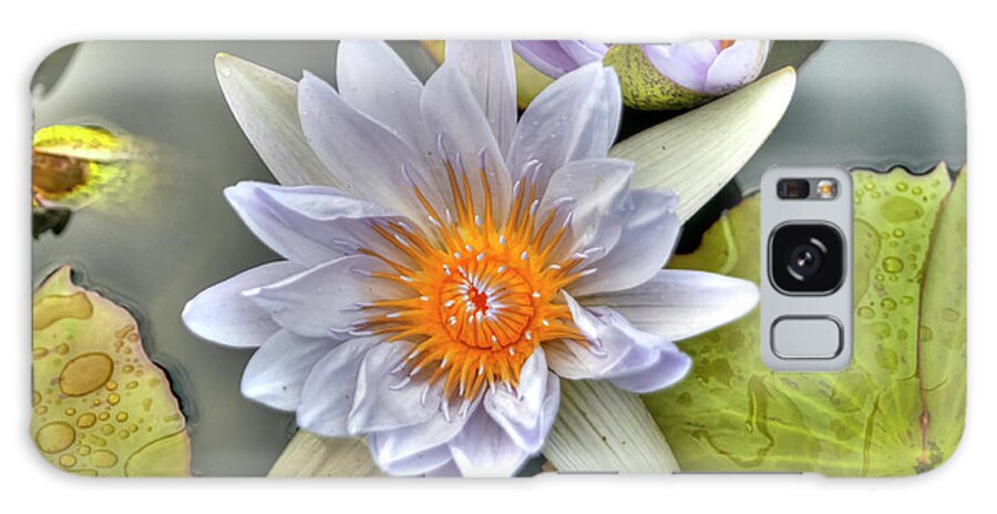 Purple Galaxy Case featuring the photograph Water Lilies by Paolo Signorini