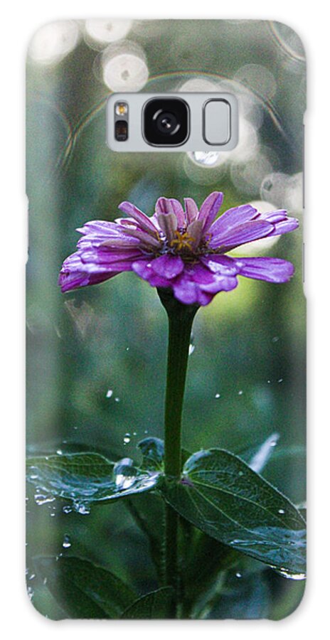 Waterdrops Galaxy Case featuring the photograph Waterdrops and a Pink Common Zinnia by W Craig Photography