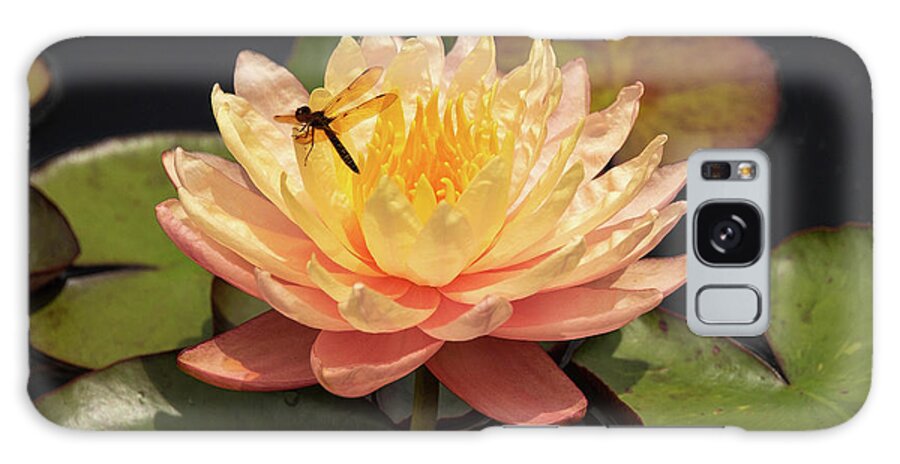 Flowers Galaxy Case featuring the photograph Waterlily by Minnie Gallman