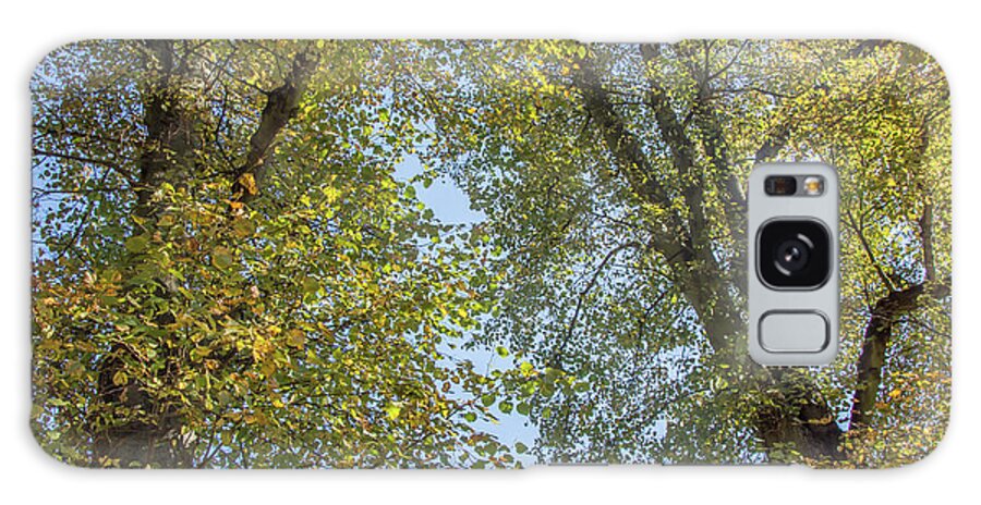Waterlow Park Galaxy Case featuring the photograph Waterlow Park Trees Fall 1 by Edmund Peston