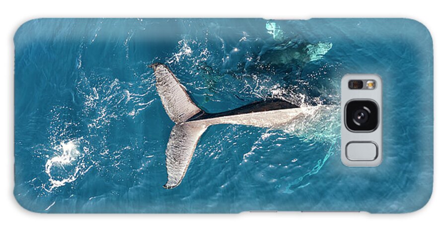 Humpback Galaxy Case featuring the photograph Whale Tail by Christopher Johnson