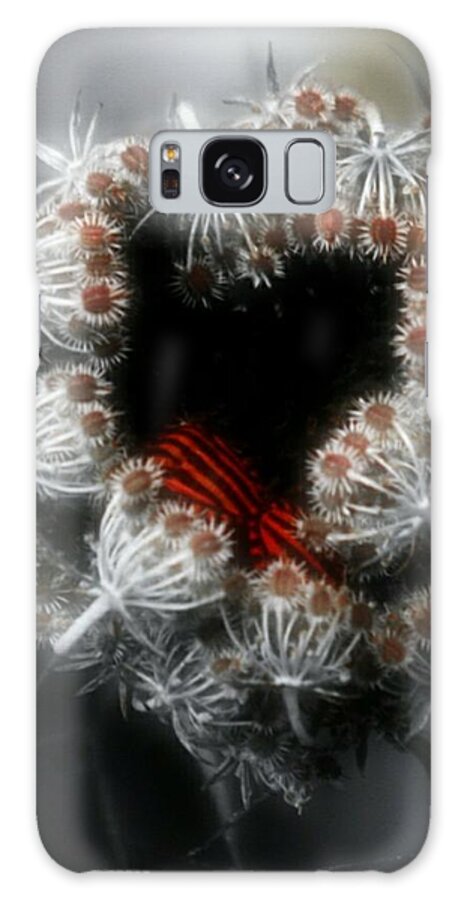 Nature Galaxy Case featuring the photograph When Magic Happens II by Auranatura Art