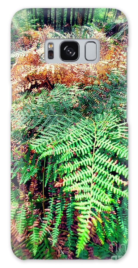 Morning Motivation Galaxy Case featuring the photograph Where The Ferns Grow by Janie Johnson