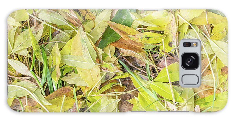 Whetstone Stray Galaxy Case featuring the photograph Whetstone Stray Leaves Fall by Edmund Peston