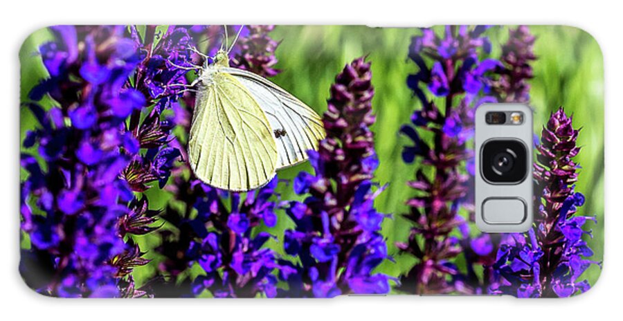 Flowers Galaxy S8 Case featuring the photograph White Butterfly by Louis Dallara
