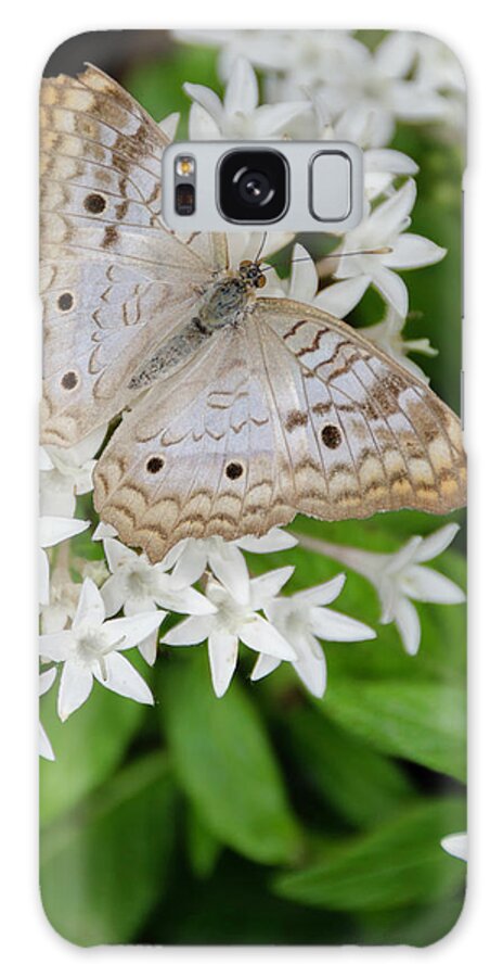Butterfly Galaxy Case featuring the photograph White Butterfly on White Flowers by WAZgriffin Digital