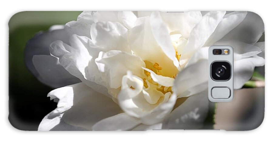 Camellia Galaxy Case featuring the photograph White Camellia III by Mingming Jiang