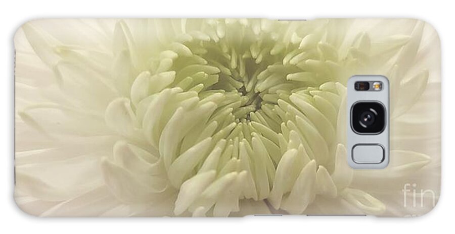 Art Galaxy Case featuring the photograph White Dahlia In Softness by Jeannie Rhode