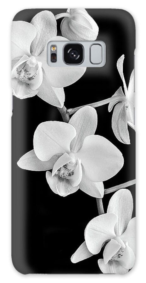 Orchid Galaxy Case featuring the photograph White Orchids on Black by Elvira Peretsman