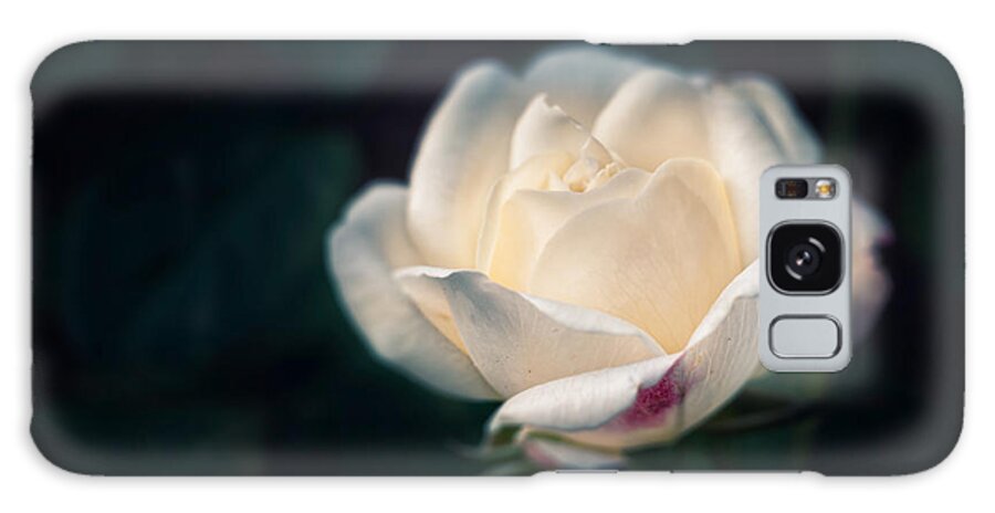 White Galaxy Case featuring the photograph White Rose by Carrie Hannigan
