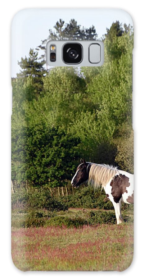 Horse Galaxy Case featuring the photograph Wild black and white horse heathland Wareham Dorset by Loren Dowding