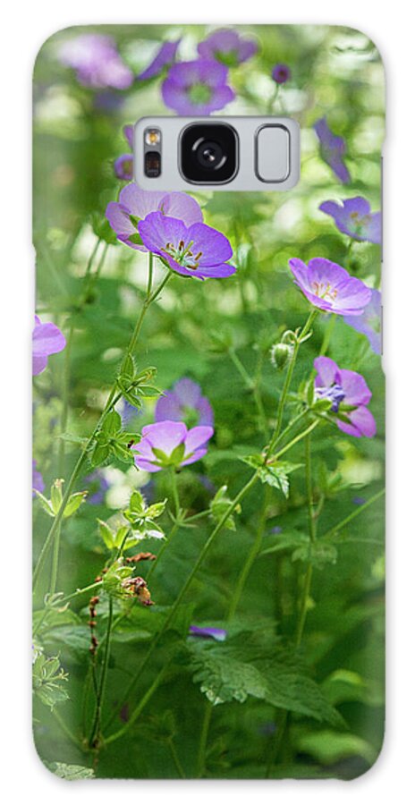 3scape Galaxy Case featuring the photograph Wild Geraniums by Adam Romanowicz