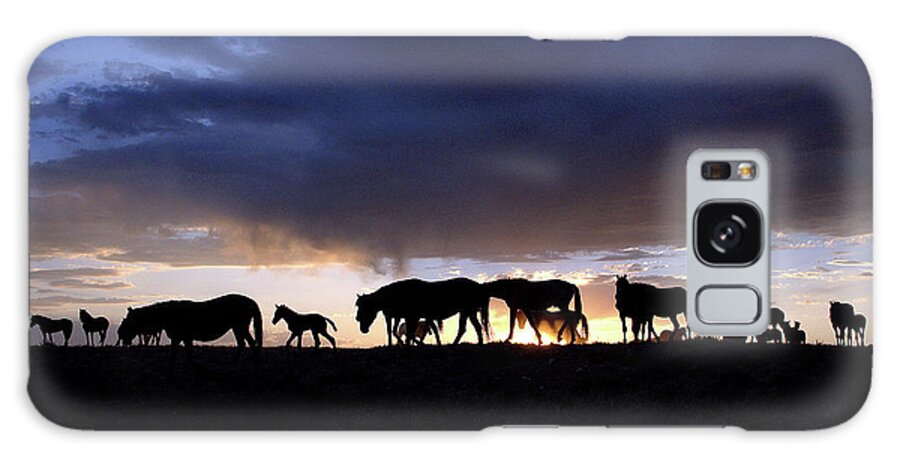 Wild Horse Galaxy Case featuring the photograph Wild Horse Color Silhouette by Dirk Johnson