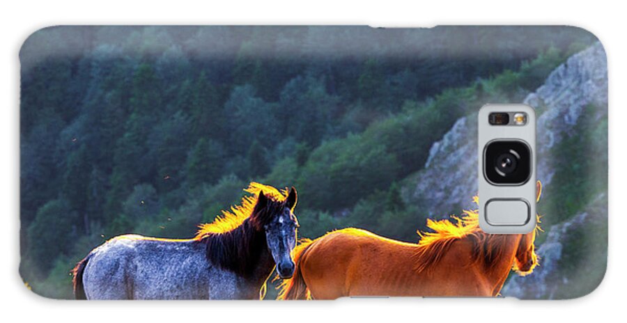 Balkan Mountains Galaxy Case featuring the photograph Wild Horses by Evgeni Dinev