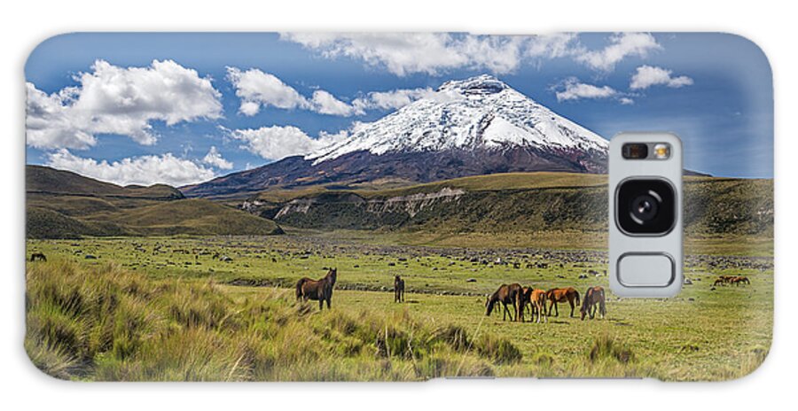 Andes Galaxy Case featuring the photograph Wild horses grazing at the foot of the Cotopaxi volcano by Henri Leduc
