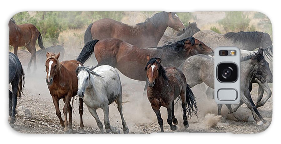 Wild Horses Galaxy Case featuring the photograph Wild Horses Utah by Wesley Aston