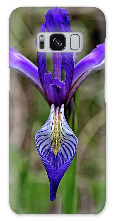 Flower Galaxy Case featuring the photograph Wild Iris by Bob Falcone
