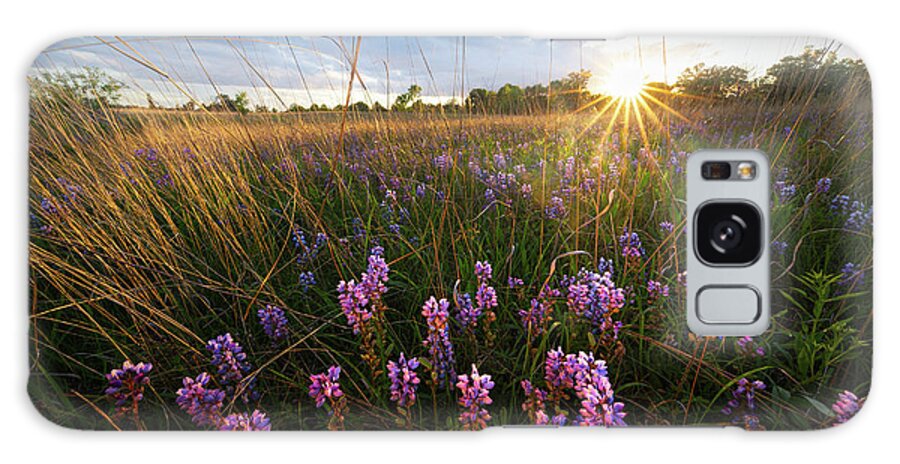 Minnesota Galaxy Case featuring the photograph Wild Lupine Sunset by Ernesto Ruiz