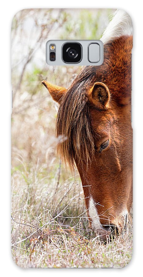 Farm Horses Galaxy Case featuring the photograph Wild Pinto - Spotted Horse by Rehna George