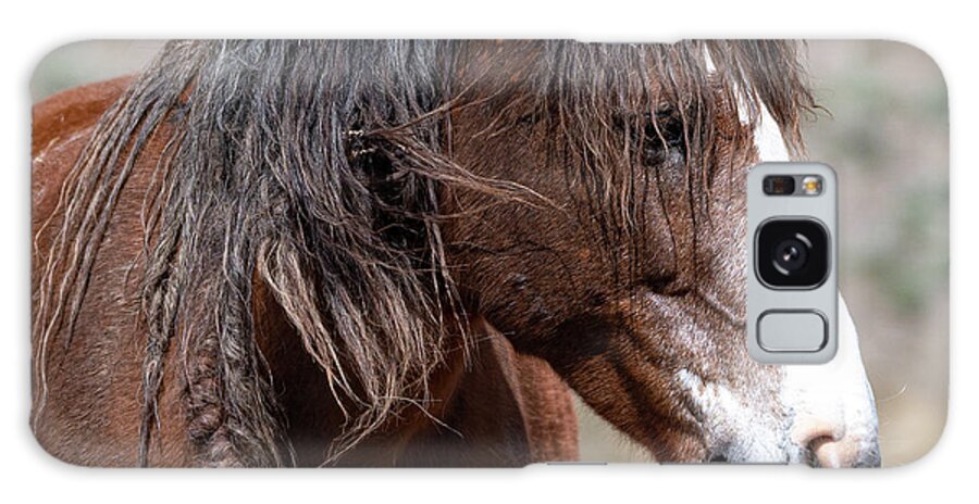 Wild Horses Galaxy Case featuring the photograph Wilder than you by Mary Hone