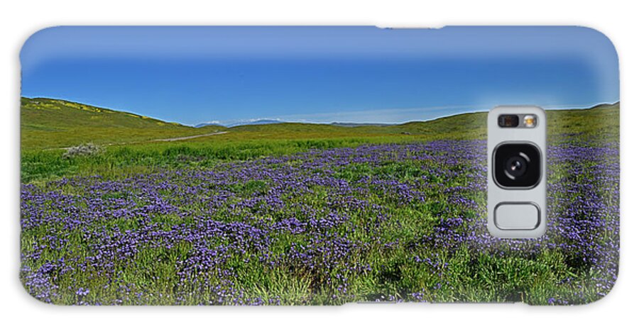 Wildflower Galaxy Case featuring the photograph Wildflower at Carrizo Plain National Monument by Amazing Action Photo Video