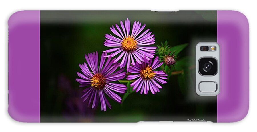Wildflower Galaxy Case featuring the photograph Wildflower Beauty by Mary Walchuck