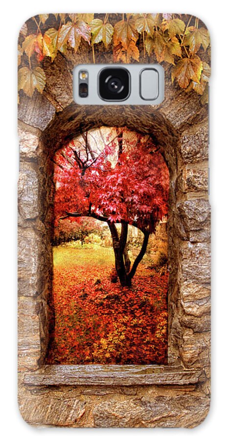 Nature Galaxy Case featuring the photograph Window to Autumn by Jessica Jenney