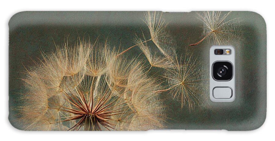 Aqua Galaxy Case featuring the photograph Windswept 2 by John Rogers