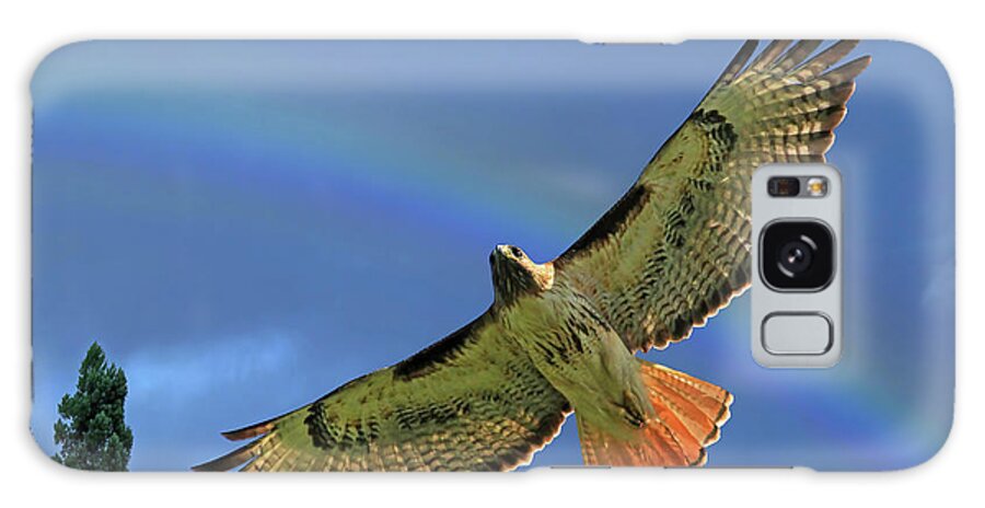 Red Tail Hawk Galaxy Case featuring the photograph Wings 2 by Donna Kennedy