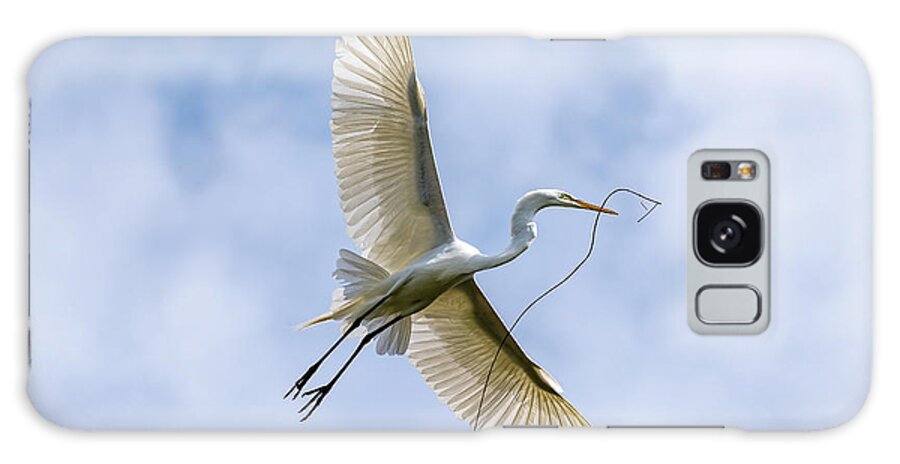 Great Egret Galaxy Case featuring the photograph Wingspan by Rose Guinther