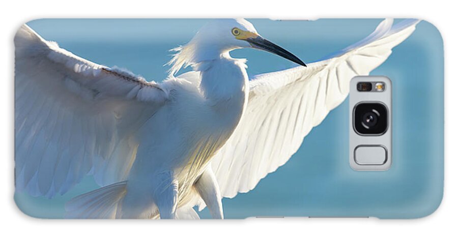 Snowy Egret Galaxy Case featuring the photograph Wingspread by RD Allen