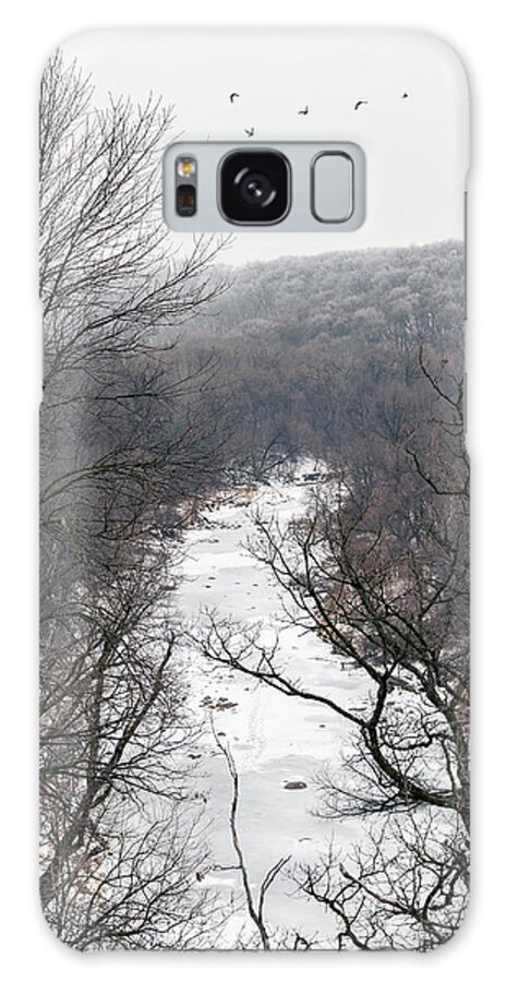 Camden State Park Galaxy Case featuring the photograph Winter at Camden by Andrew Miller