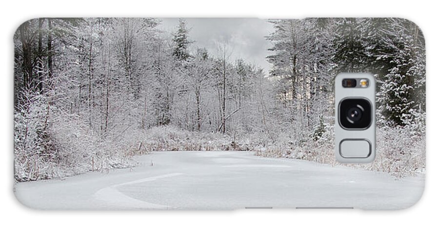 Winter Galaxy Case featuring the photograph Winter at the Pond by Moira Law