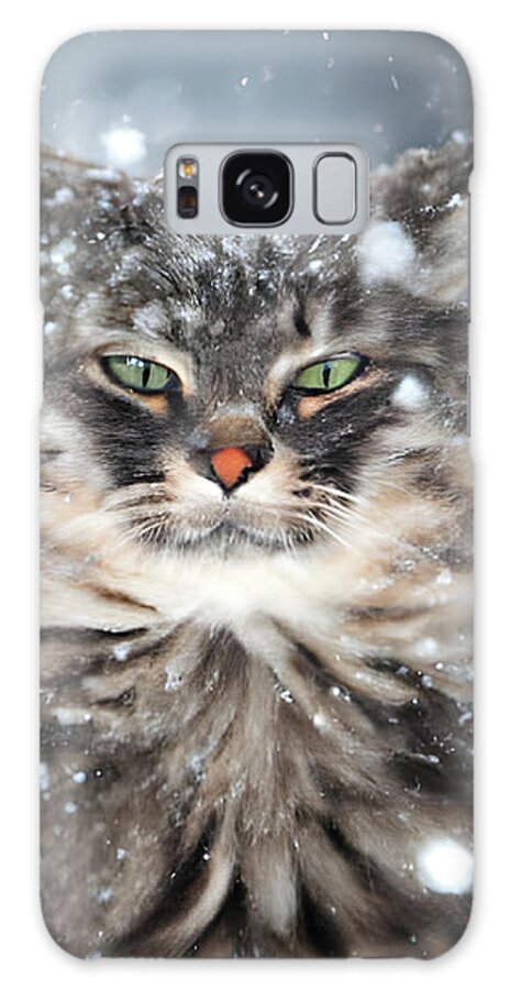 Cat Galaxy Case featuring the digital art Winter Cat in The Snow by Annalisa Rivera-Franz