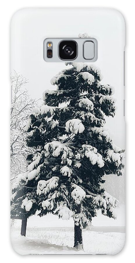 Black And White Galaxy Case featuring the photograph Winter Coat by Steph Gabler