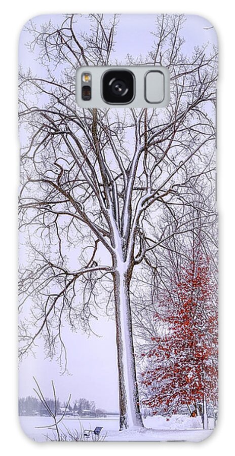 White Galaxy Case featuring the photograph Winter, i don't wanna a lose red by Carl Marceau
