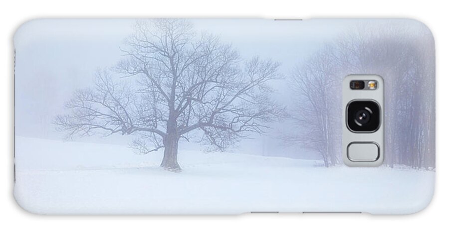 Winter Galaxy Case featuring the photograph Winter 34a9722 by Greg Hartford