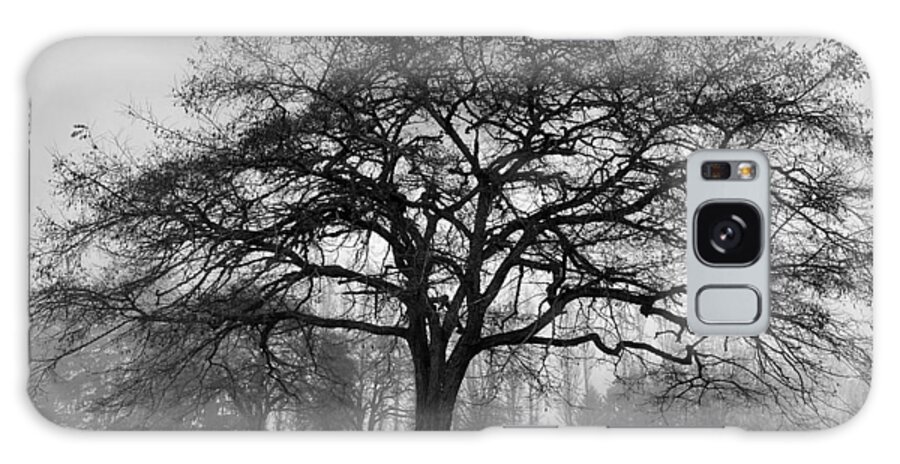 Winter Galaxy Case featuring the photograph Winter Morning Tree Silhouette BW by Jerry Abbott