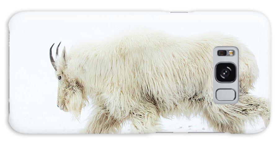 Mountain Goat Galaxy Case featuring the photograph Winter Mountain Goat by Wesley Aston