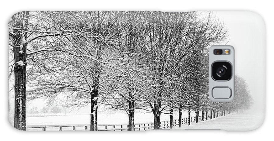 Trees Galaxy Case featuring the photograph Winter White by C Renee Martin
