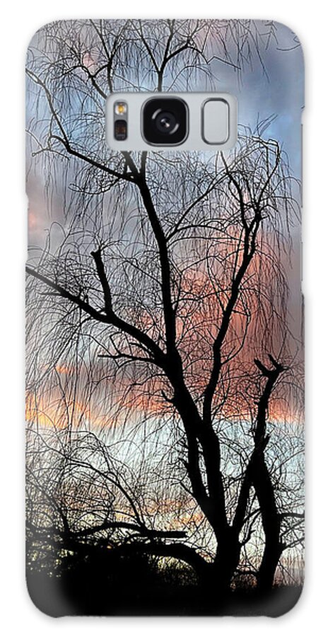 Nature Galaxy Case featuring the photograph Winter Willow by Gina Fitzhugh