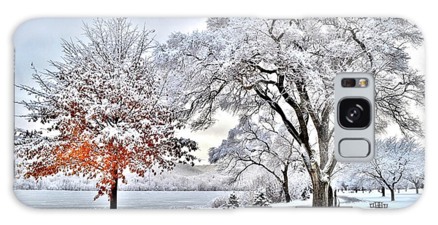 Winter Galaxy Case featuring the photograph Winter Wonderland by Susie Loechler