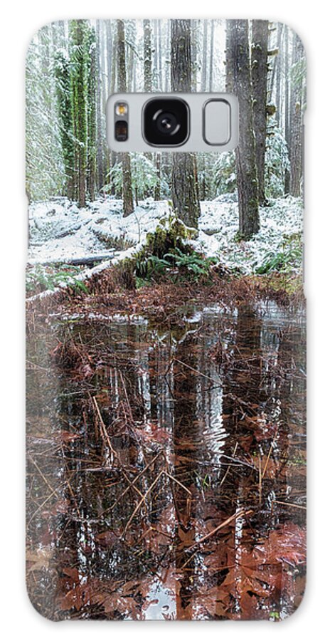 Woods Galaxy Case featuring the photograph Winter Woods Reflection in a Pool of Leaves, Vertical by Belinda Greb