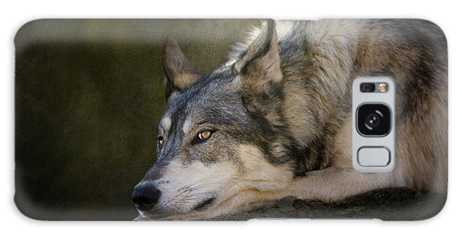 Wolf Galaxy Case featuring the digital art Wolf Watch by Nicole Wilde