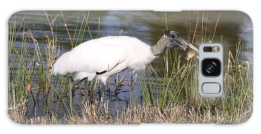 Wood Storks Galaxy S8 Case featuring the photograph Wood stork 2 by Mingming Jiang