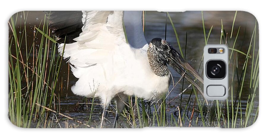 Wood Storks Galaxy Case featuring the photograph Wood stork 3 by Mingming Jiang